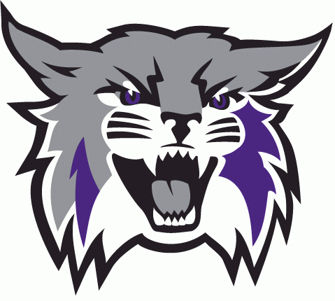 Weber State Wildcats 2012-Pres Primary Logo iron on transfers for fabric